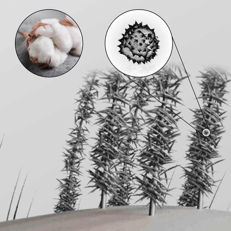 Hair Thickening Hair Building Fiber Powder
