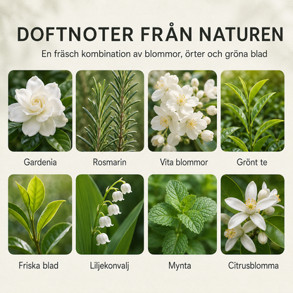 Automatisk doftspridare – väggmonterad eller fristående