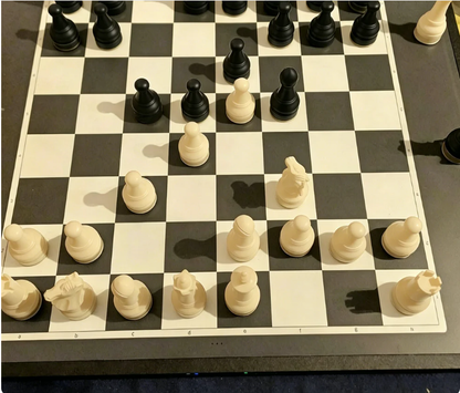 ♟️Magnetiskt schackspel med hopfällbart bräde✨