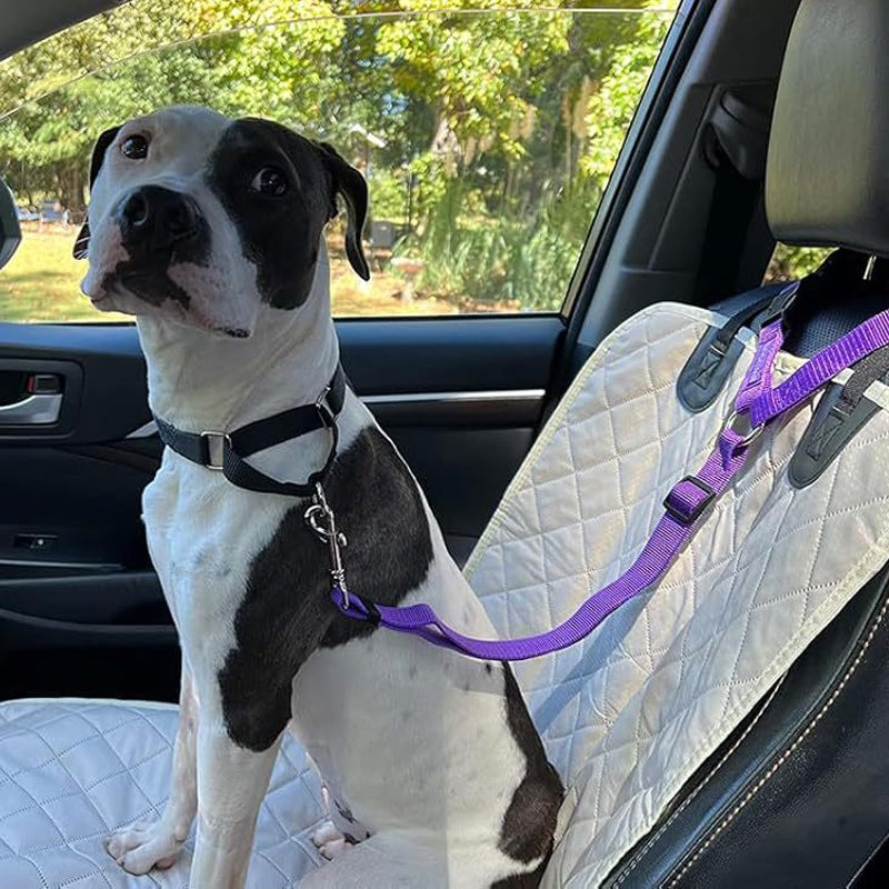 🛒 50 % RABATT NU! 🐶 2‑i‑1 bilbälte och promenadkoppel för hund – fästs enkelt i hundens sele 🚗🌿