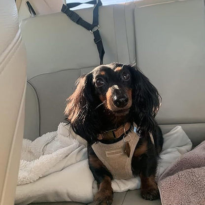 🛒 50 % RABATT NU! 🐶 2‑i‑1 bilbälte och promenadkoppel för hund – fästs enkelt i hundens sele 🚗🌿