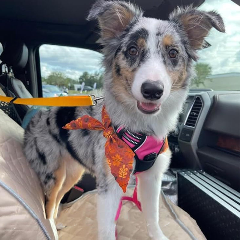 🛒 50 % RABATT NU! 🐶 2‑i‑1 bilbälte och promenadkoppel för hund – fästs enkelt i hundens sele 🚗🌿