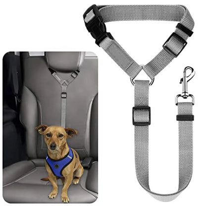 🛒 50 % RABATT NU! 🐶 2‑i‑1 bilbälte och promenadkoppel för hund – fästs enkelt i hundens sele 🚗🌿