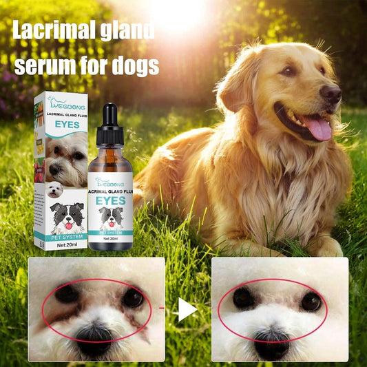🐶🐱 Älskad av tusentals djurägare!🔥 50% RABATT NU!Mild ögonrengöring för hundar & katter – hjälper mot tårfläckar, smuts och orenheter. Skonsam formula för daglig användning. 🌿💧
